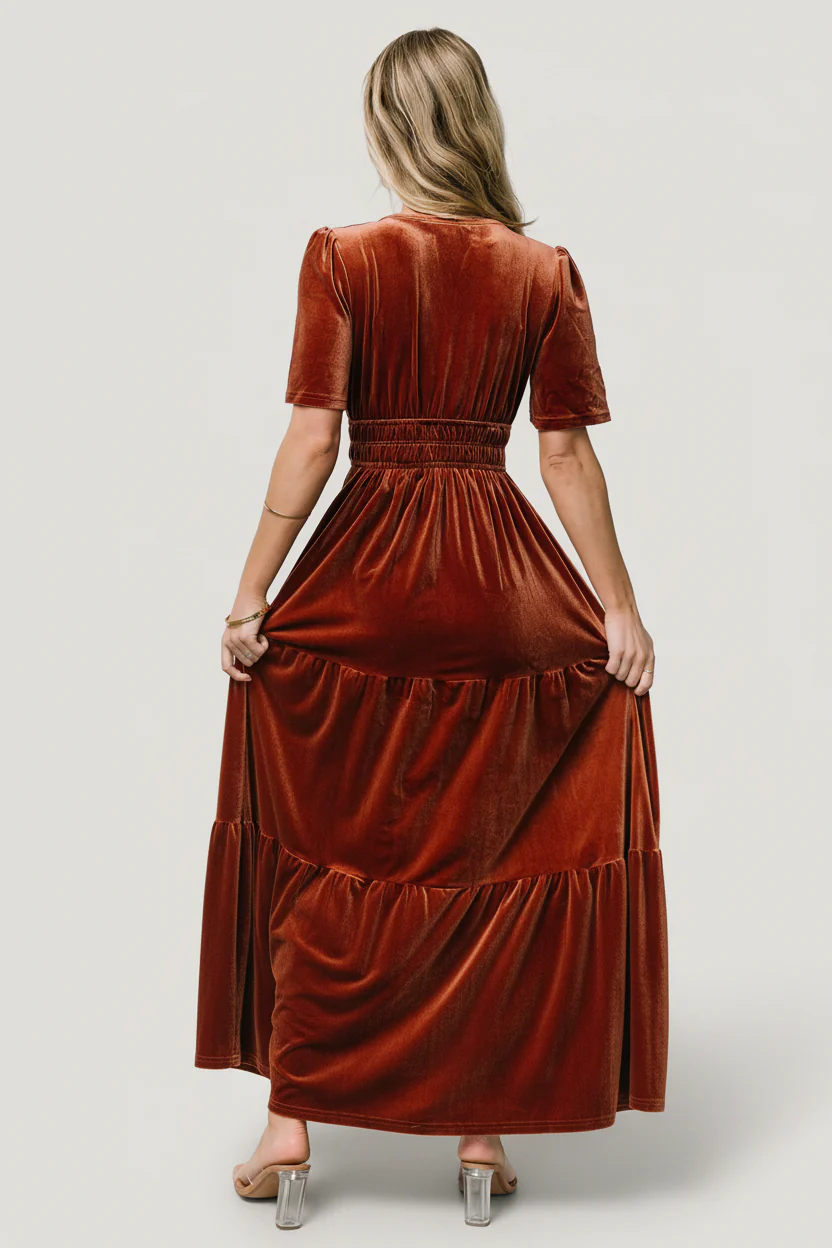 Artemis Velvet Maxi Dress | Dark Spice - Image 4