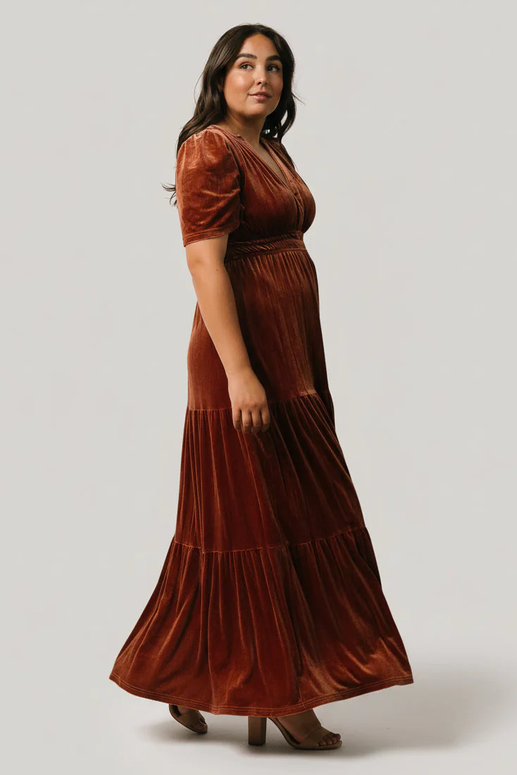Artemis Velvet Maxi Dress | Dark Spice - Image 6