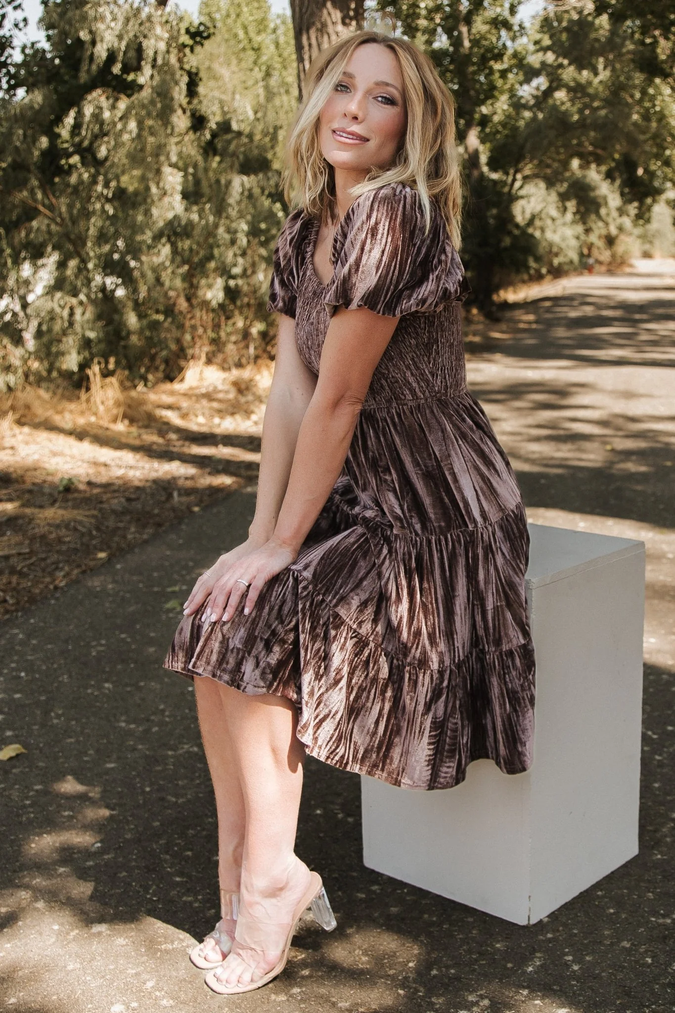 Fay Velvet Midi Dress | Cocoa - Image 3