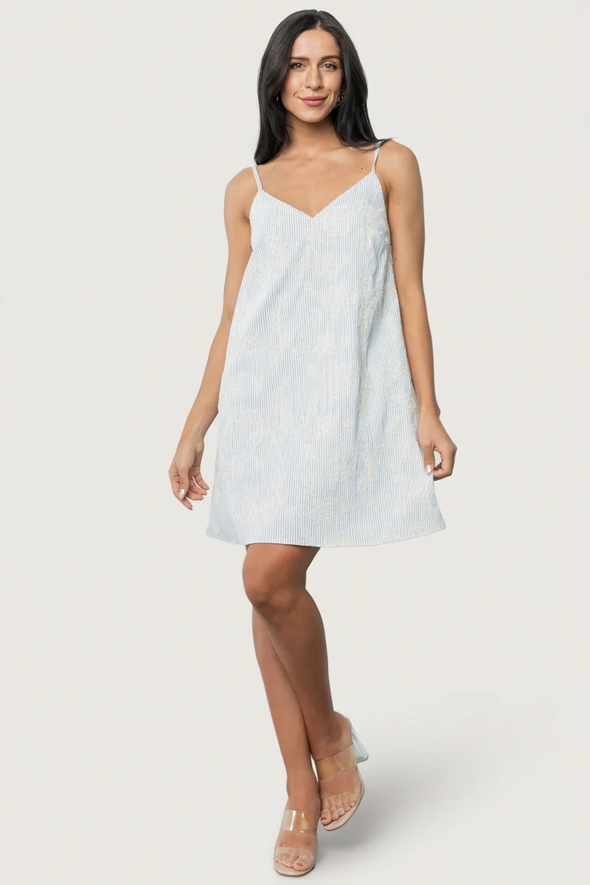 Nyra Short Dress | Blue Stripe